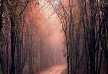 开云体育在线-铁血逆袭！马竞客场3球屠城登顶西甲，西蒙尼的钢铁洪流正席卷欧洲