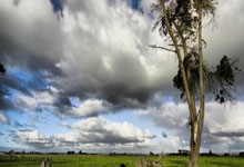 开云体育下载-烽火重燃！国内绿茵场刀光剑影，谁主沉浮？