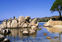 开云体育在线-铁血逆袭！马竞客场3球屠城登顶西甲，西蒙尼的钢铁洪流正席卷欧洲