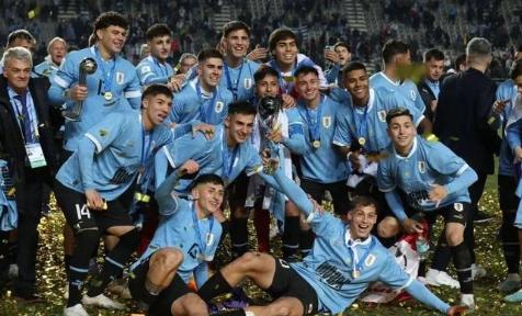 阿根廷队客场战胜塞内加尔,欧预赛小组崭露头角的简单介绍 阿根廷队客场战胜塞内加尔,欧预赛小组崭露头角的简单介绍