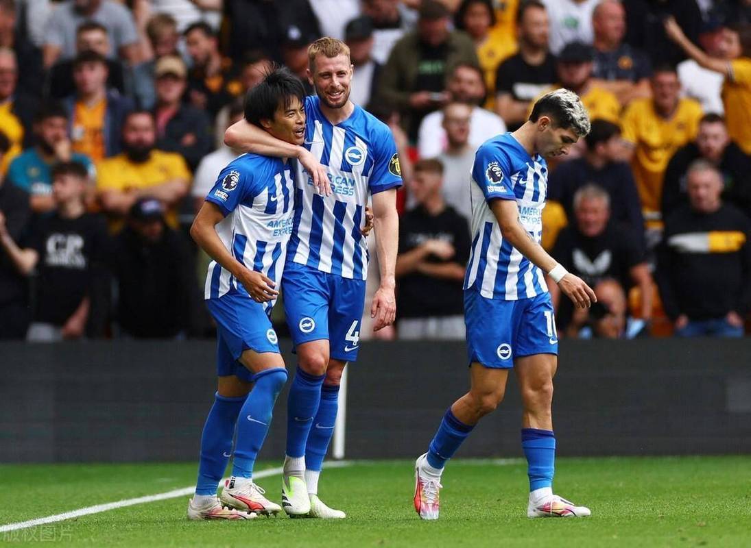 布赖顿主场爆冷负于卡迪夫城,遭受打击的简单介绍 布赖顿主场爆冷负于卡迪夫城,遭受打击的简单介绍