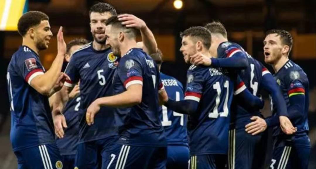 捷克队在对阵荷兰的比赛中展现出色