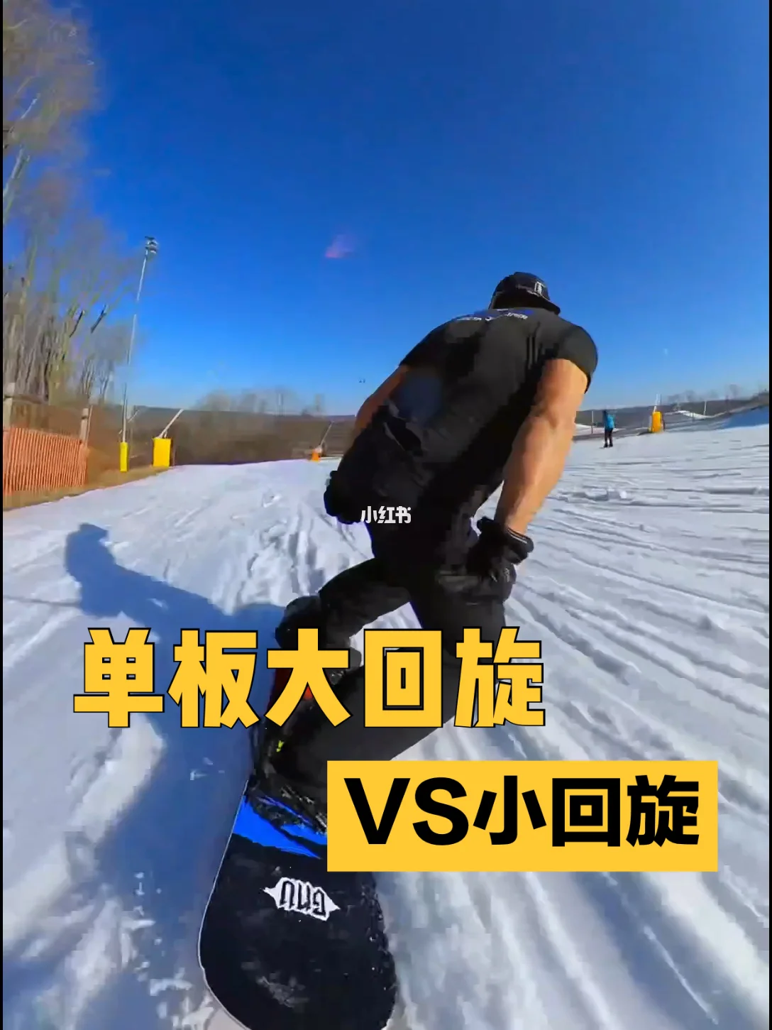 葡萄牙名将斩获滑雪小回旋女子冠军
