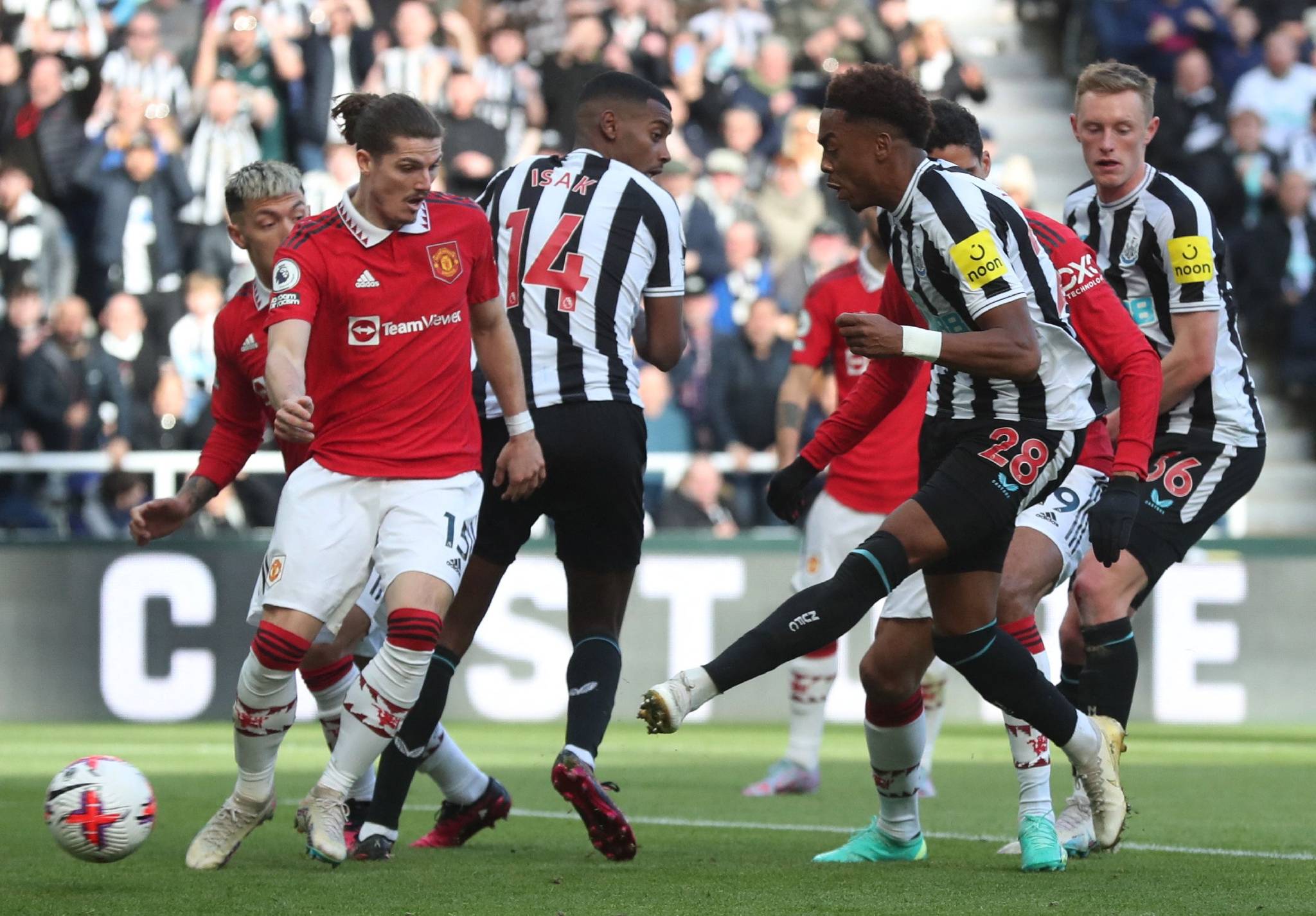 包含帕多瓦主场取胜，球队士气高昂的词条