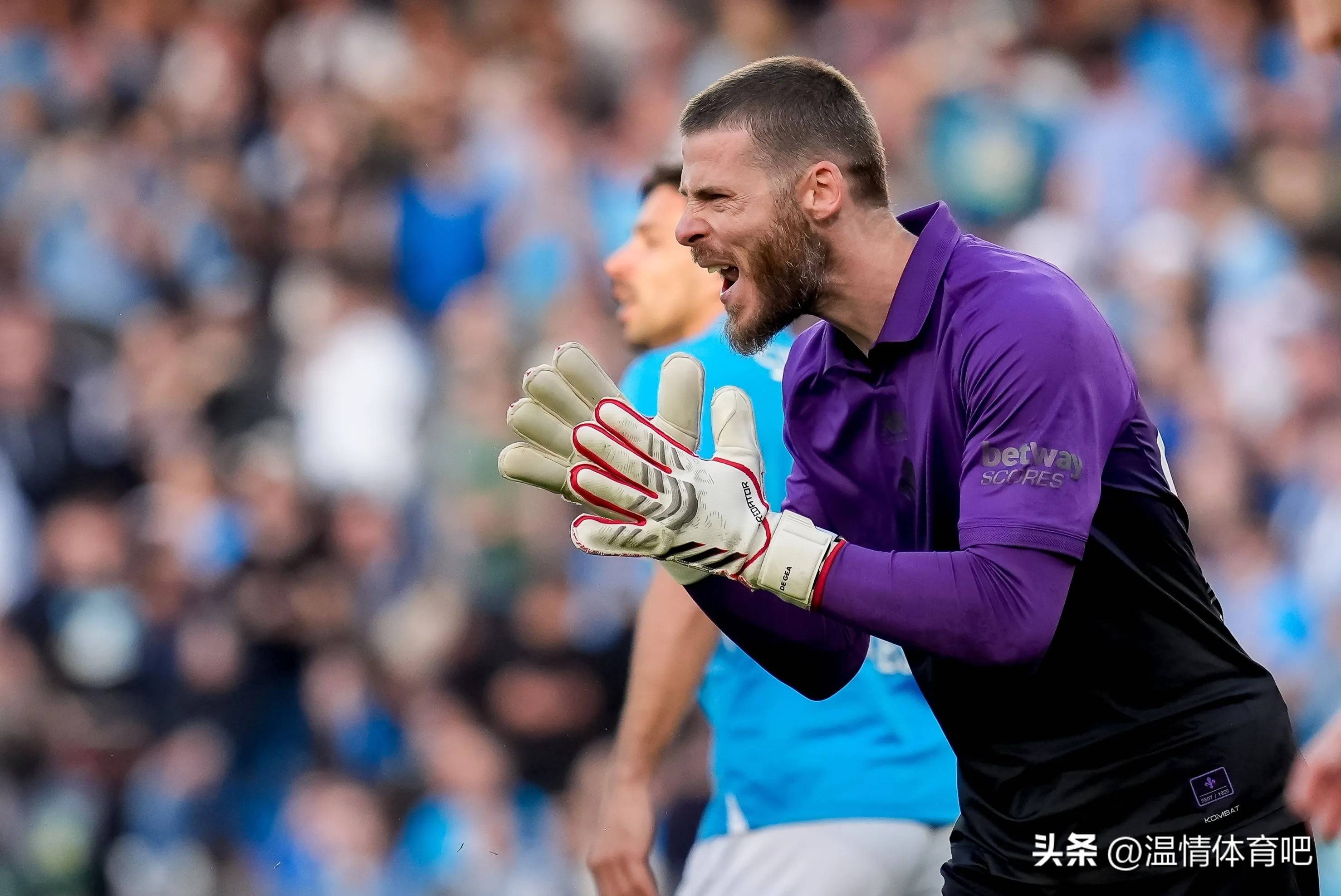 法国队在意甲中不敌勇士，出线形势明朗