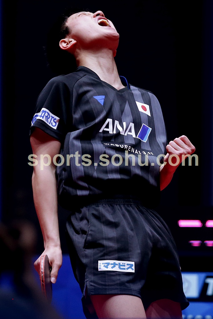 关于法国乒乓球队轻取德国乒乓球队，水谷隼高光表现的信息