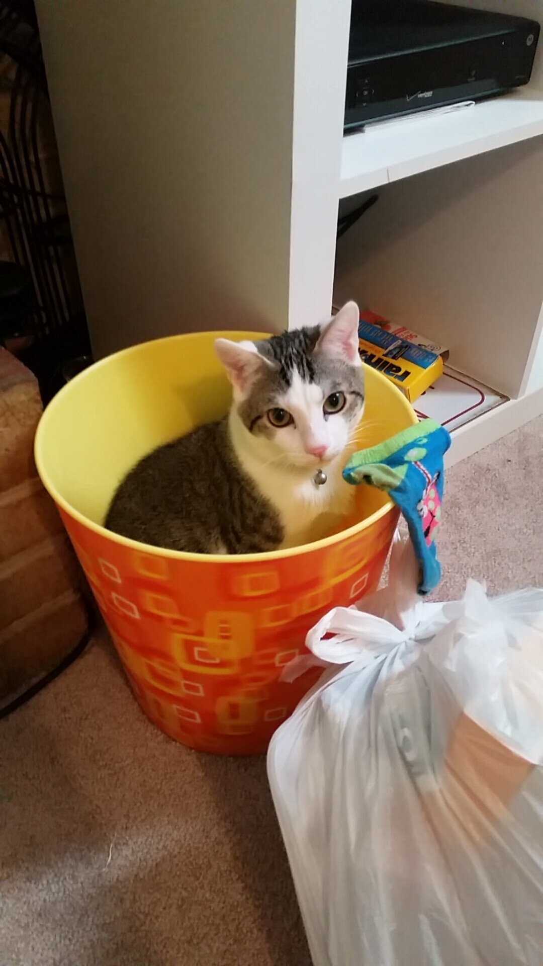 尼克斯末节狂飙,东决关键战一波流带走雄鹿