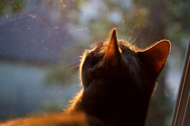 德布劳内节奏掌控艺术，哥斯达黎加绝杀巴黎惊魂夜
