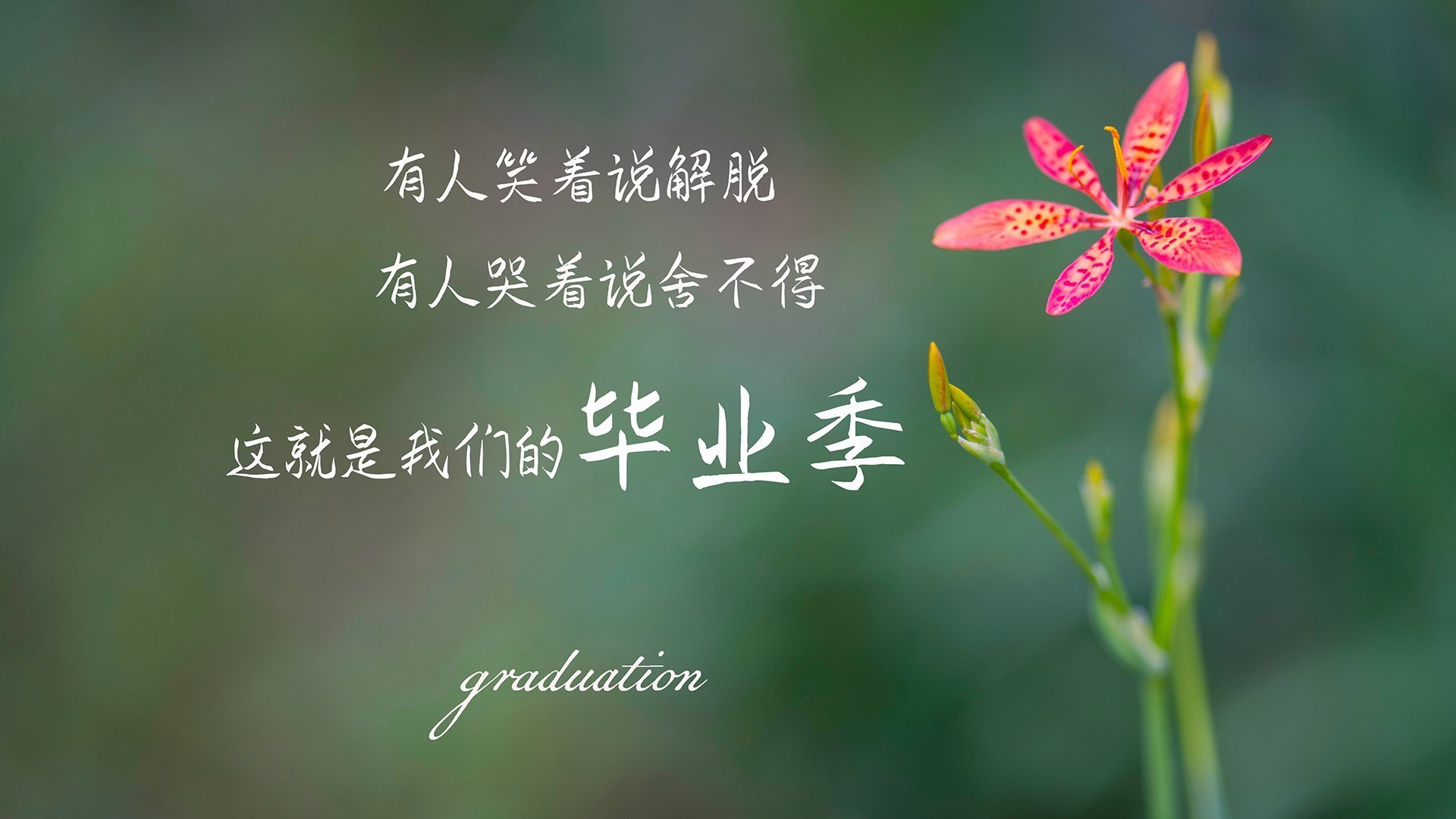 开云体育中国-以彼之道，还施彼身，从布伦森到老鹰，现代攻防转换的艺术