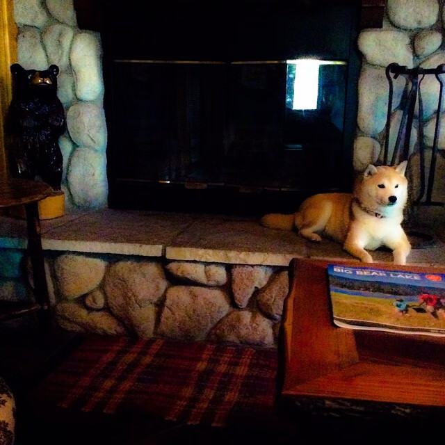 开云体育官方网站-双重宇宙的轰鸣，本泽马数据全面爆炸与委内瑞拉封锁曼城的战术启示