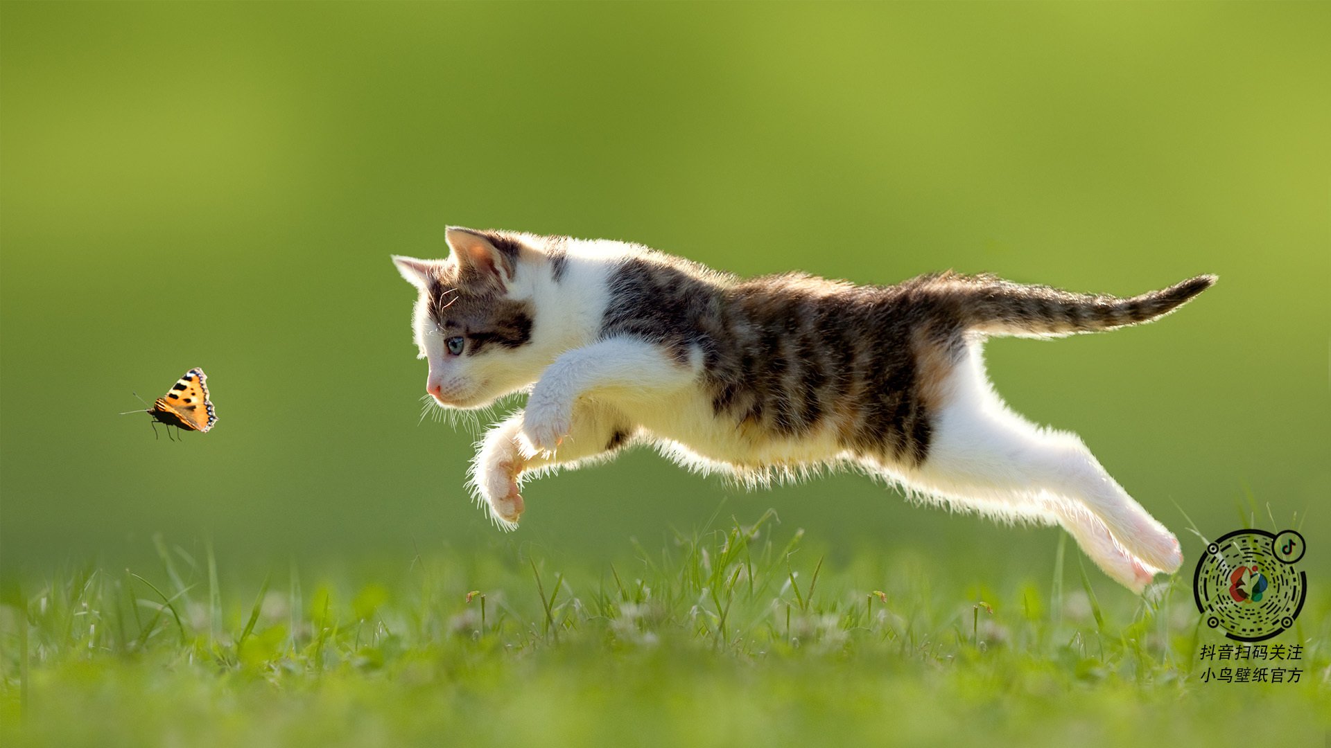 开云体育下载-双城记，当瑞士决胜局撕裂亚特兰大，凯恩在伊比利亚风暴眼中加冕