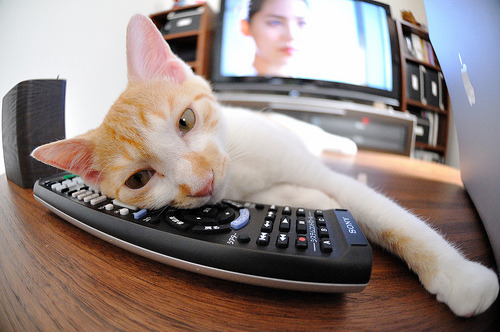 开云体育在线-乔治一剑封喉，大场面先生降临，雷霆末节逆袭绝杀北京队