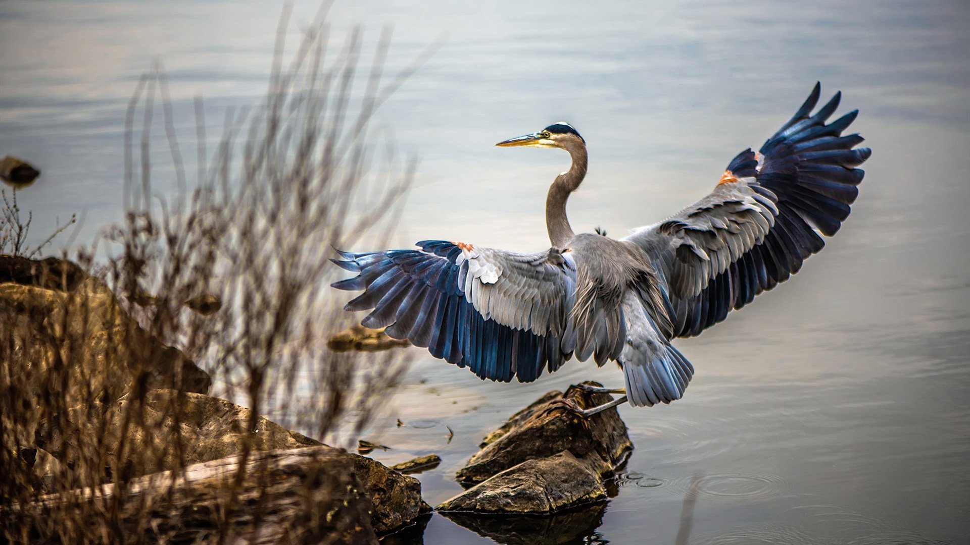 双重碾压，从凤凰城到丹佛，篮球意志的共时性征服