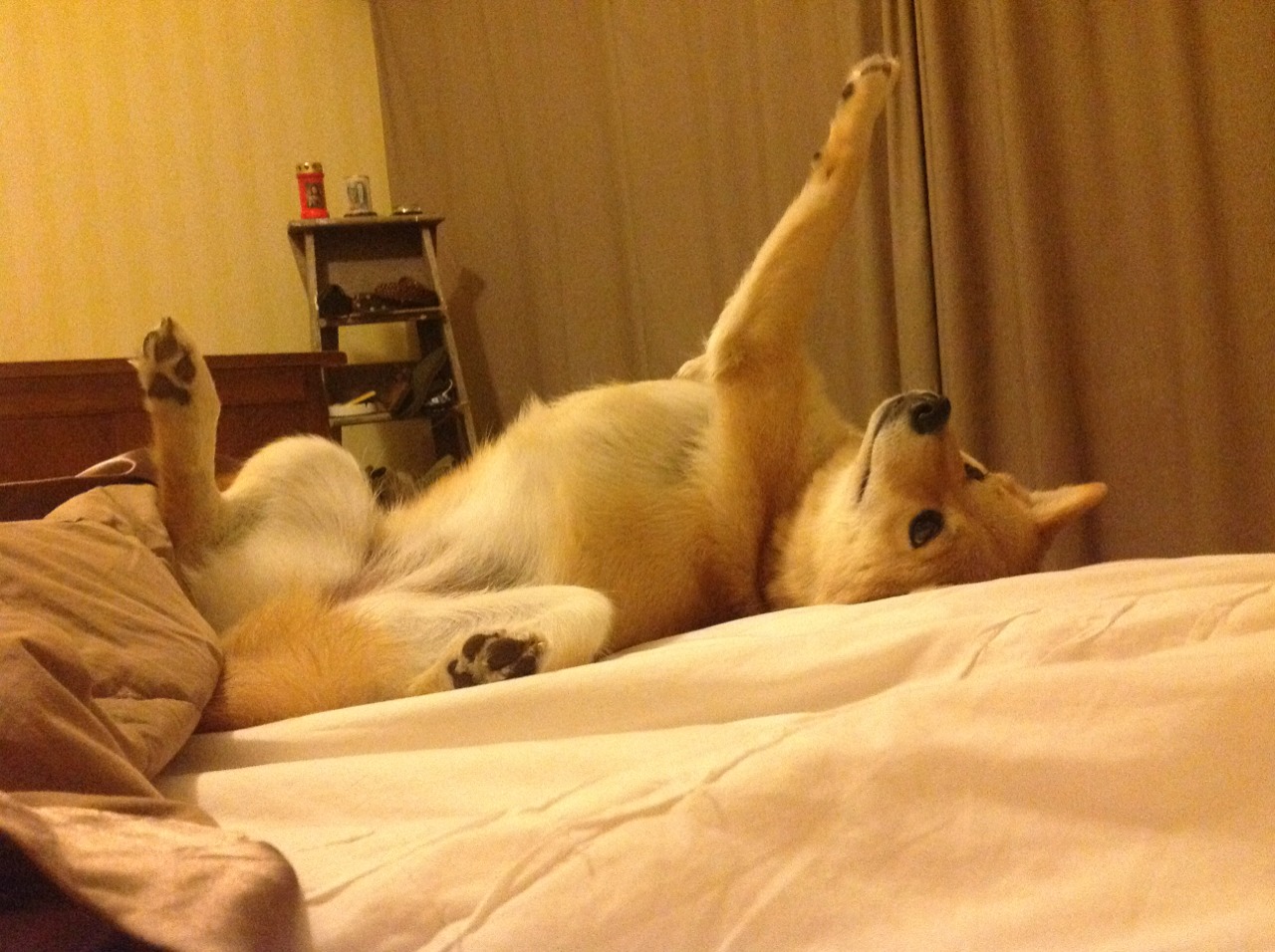 加时鏖战与欧冠辉煌，雄鹿险胜步行者，拉文决赛独舞