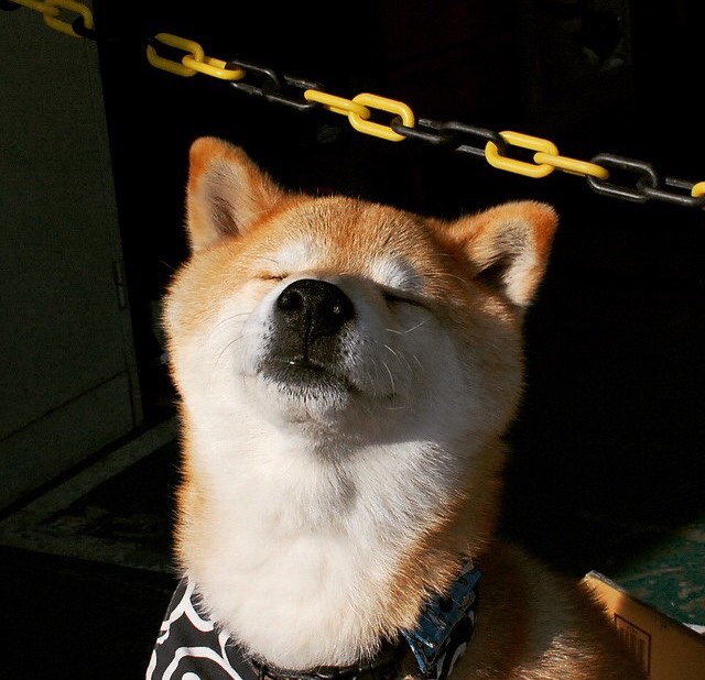 绿茵闪电与极速狂飙，当阿拉巴在F1揭幕战接管比赛