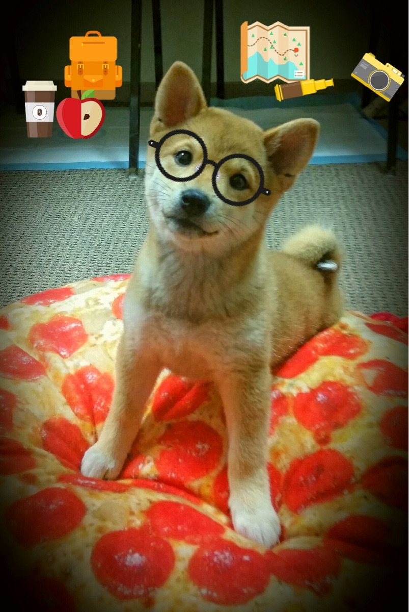 雷霆制霸勇士，2026世界杯焦点战的震撼对决