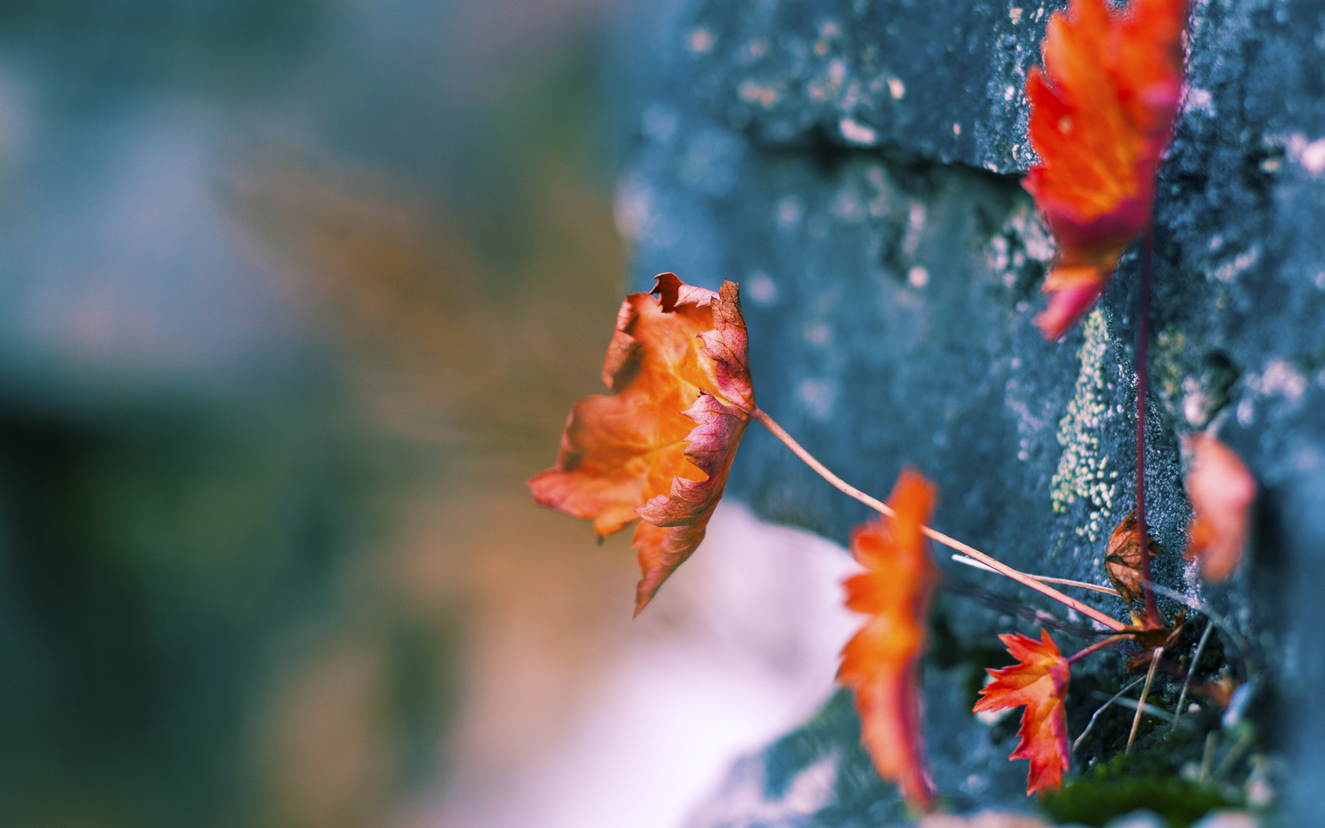 暗夜猎手，恩比德在美加墨世界杯之夜的死神时刻