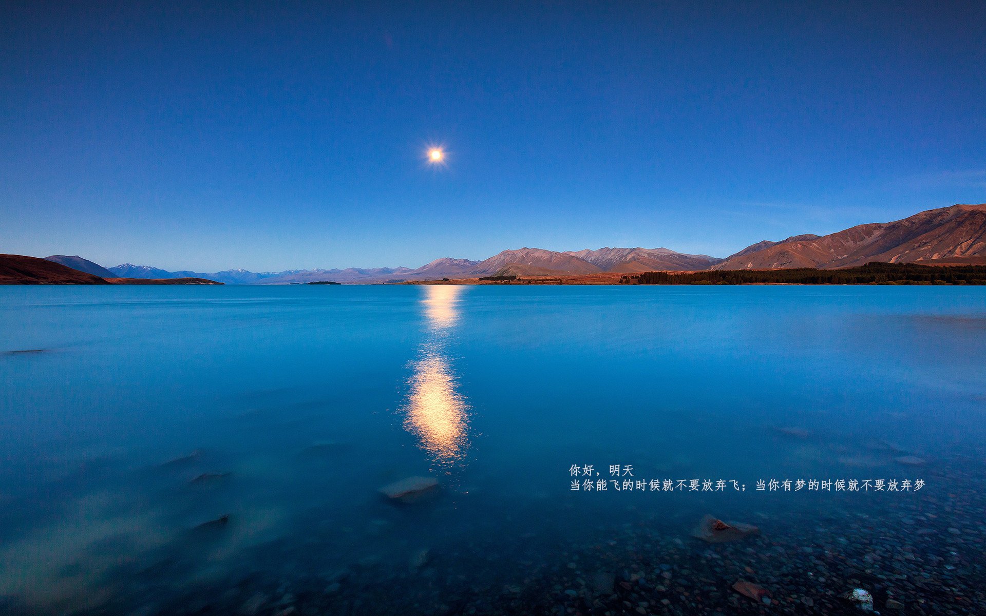 开云体育在线-跨洋对决，新疆队对阵凯尔特人，拉梅洛·鲍尔贡献制胜表现