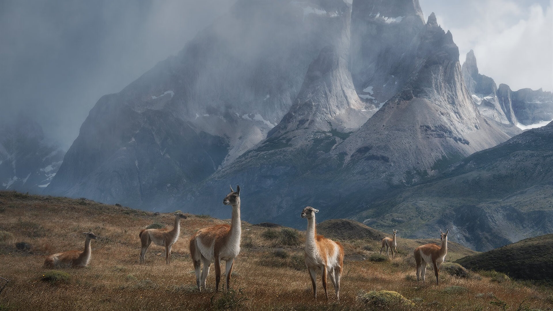 锋线重铸老妇人荣光！欧冠焦点战尤文完胜拜仁，冲击世界排名新高
